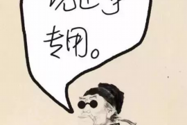 嘉善债务清欠服务