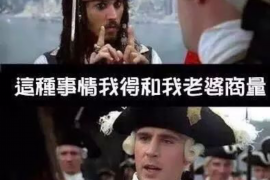 嘉善债务清欠服务